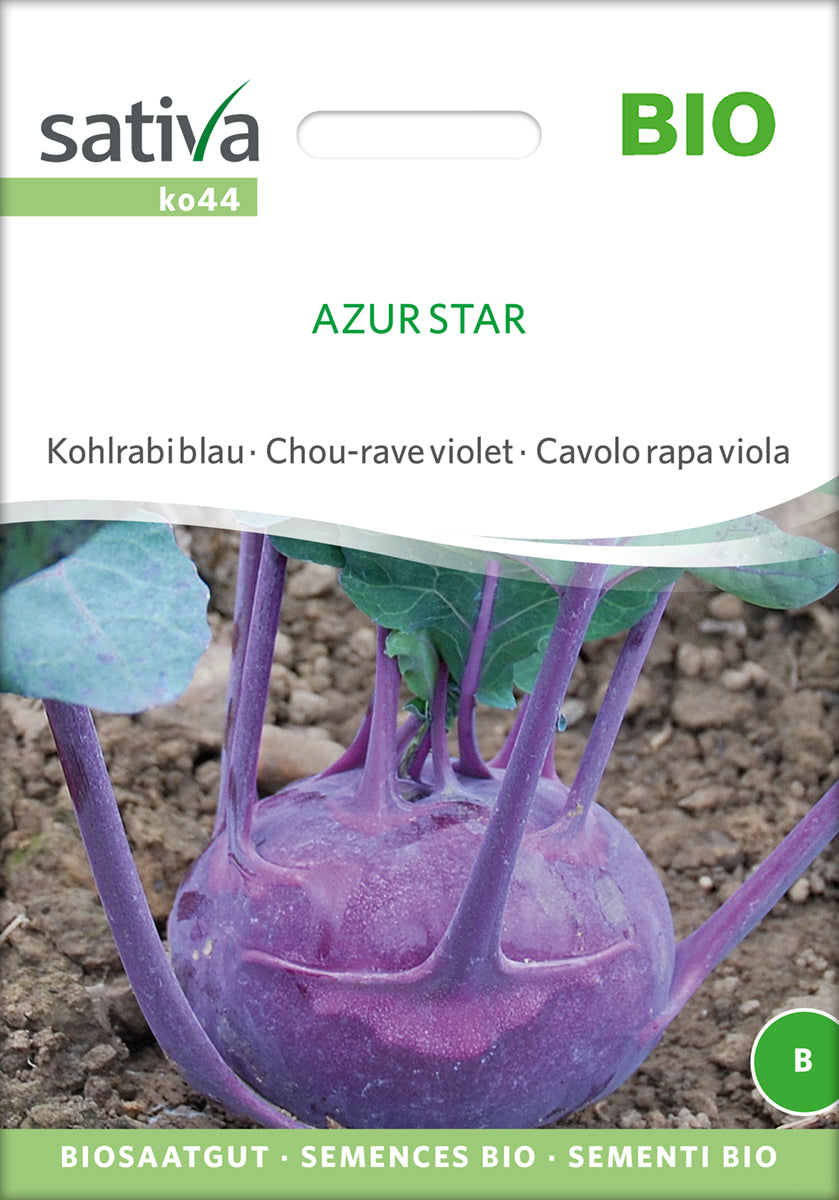 Kohlrabi blau Azur Star | BIO Kohlrabisamen von Sativa Rheinau