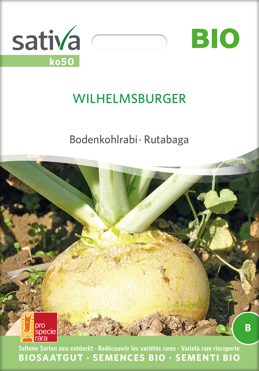 Bodenkohlrabi Wilhelmsburger | BIO Kohlrabisamen von Sativa Rheinau