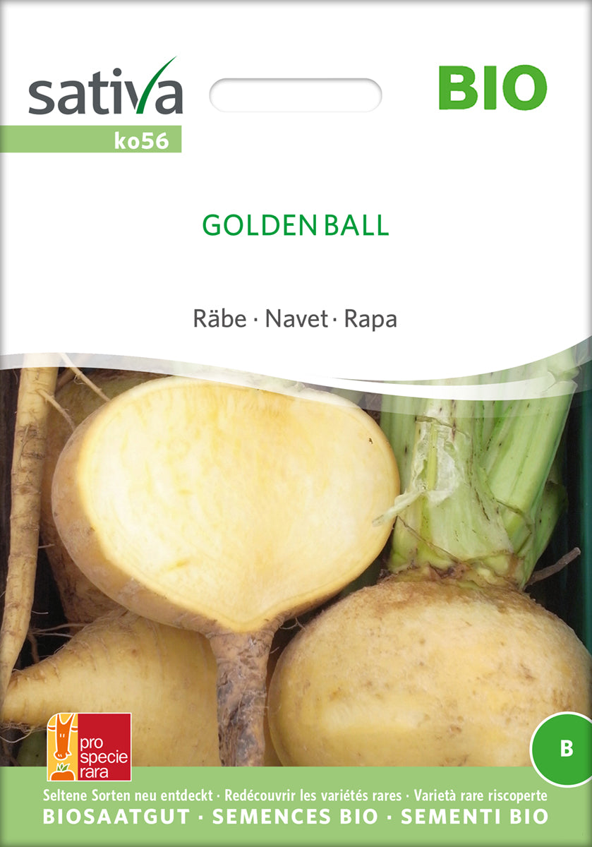 Räbe Golden Ball | BIO Rübensamen von Sativa Rheinau