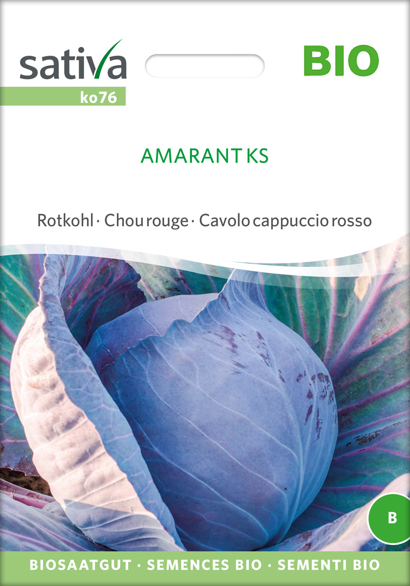 Rotkohl Amarant Ks | BIO Rotkohlsamen von Sativa Rheinau