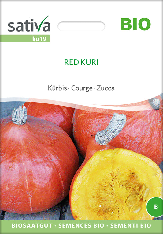 Kürbis Red Kuri | BIO Hokkaidokürbissamen von Sativa Rheinau