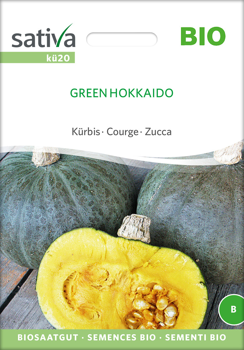 Kürbis Green Hokkaido | BIO Hokkaidokürbissamen von Sativa Rheinau