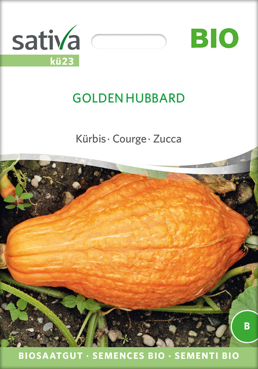 [STREICHUNG 2024] Kürbis Golden Hubbard | BIO Hubbardkürbissamen von Sativa Rheinau