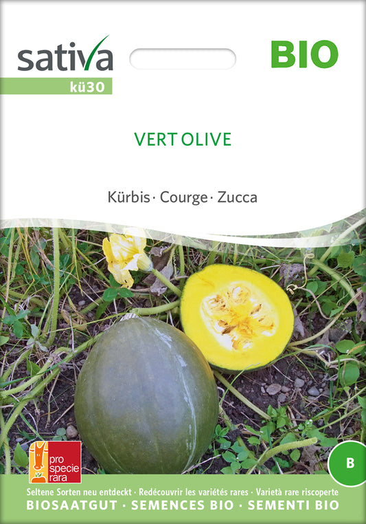 Kürbis Vert Olive | BIO Kürbissamen von Sativa Rheinau