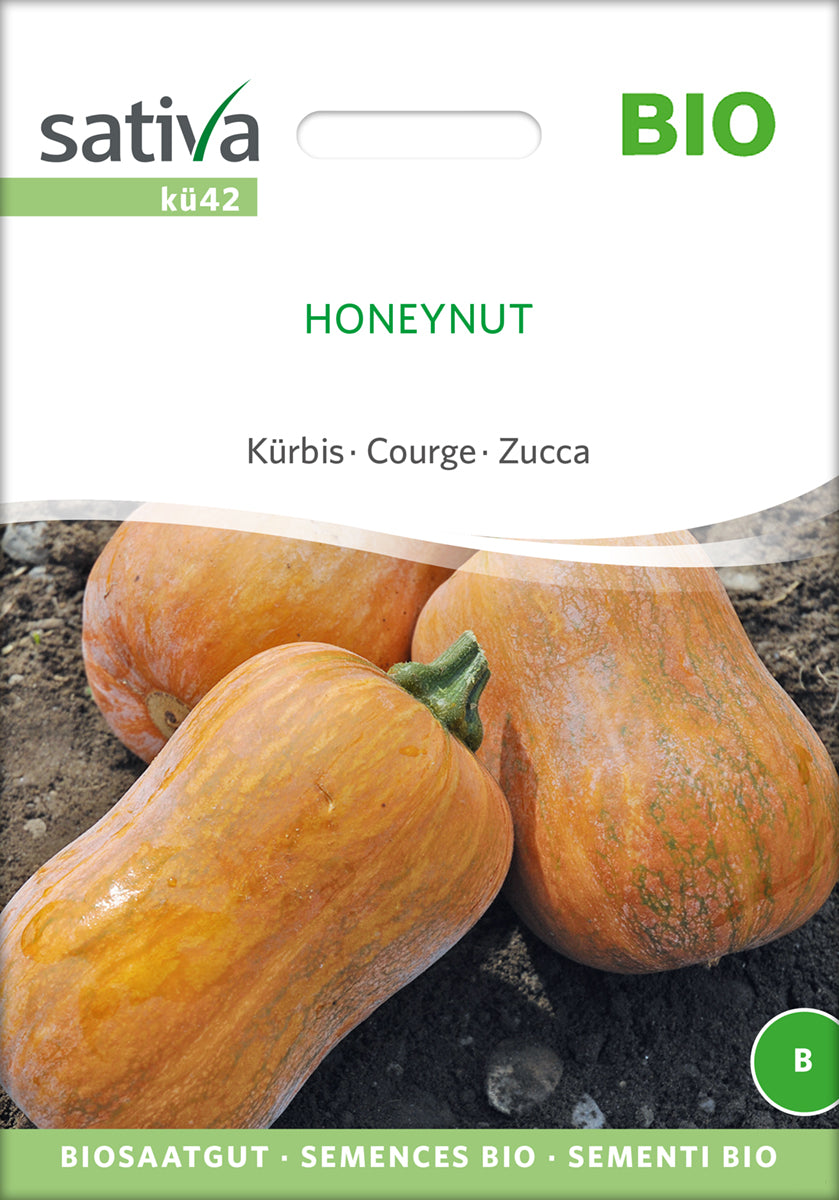 Kürbis Honeynut | BIO Butternutkürbissamen von Sativa Rheinau