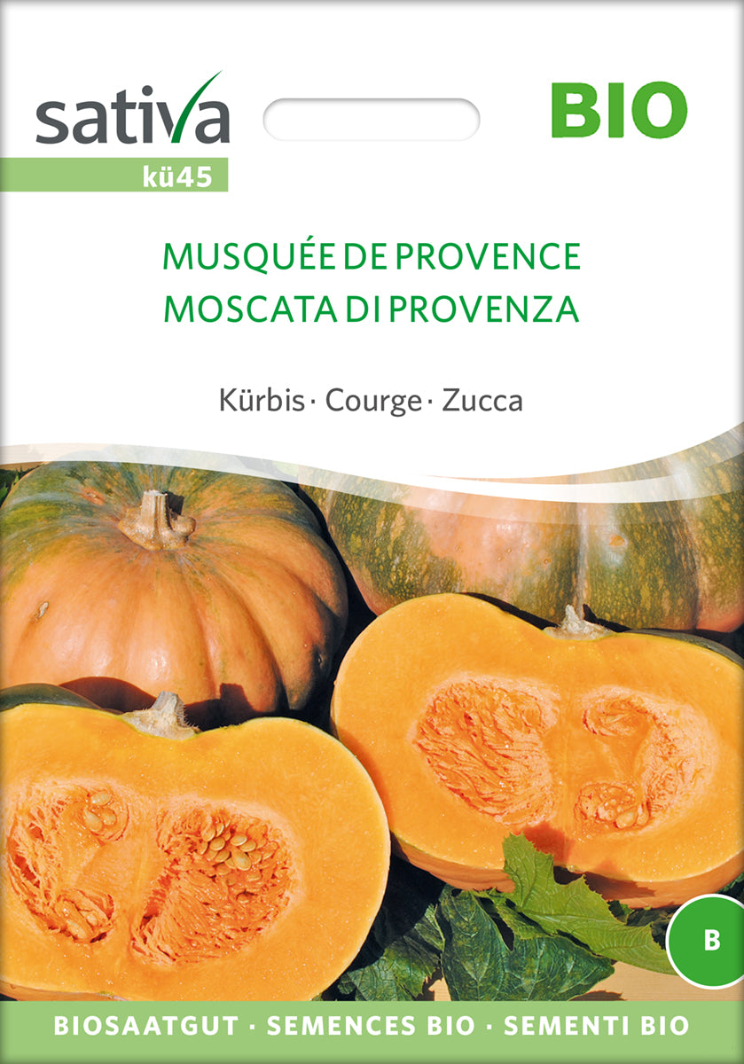 Kürbis Musquée De Provence | BIO Kürbissamen von Sativa Rheinau