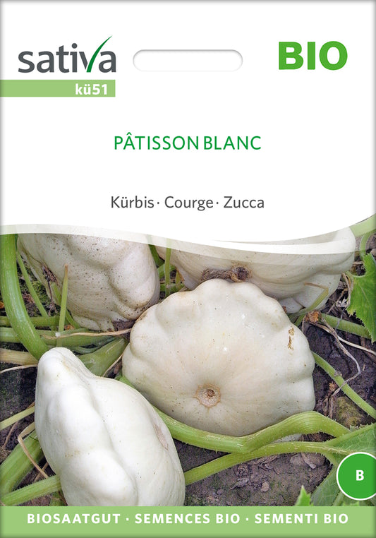 Kürbis Pâtisson Blanc | BIO Kürbissamen von Sativa Rheinau