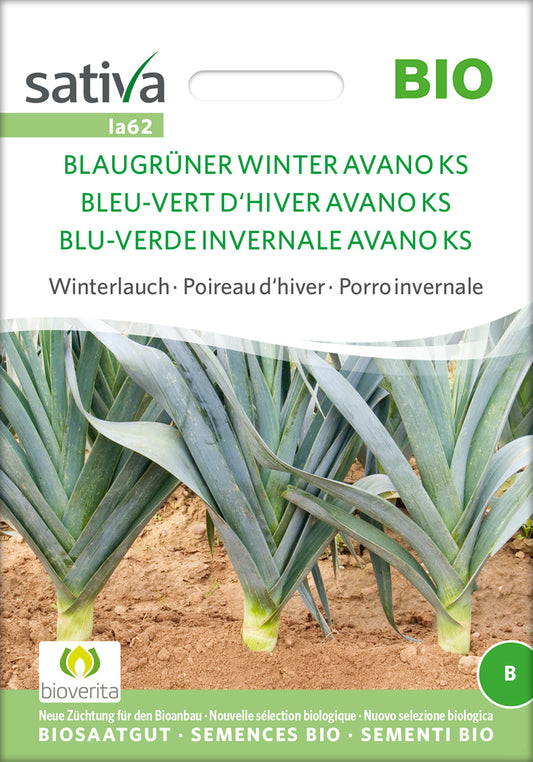 Winterlauch Blaugrüner Winter Avano Ks | BIO Lauchsamen von Sativa Rheinau