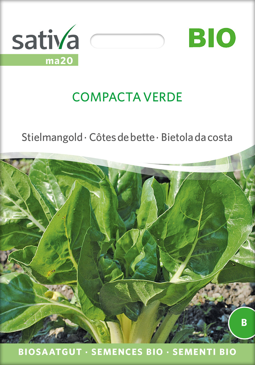 Mangold Compacta Verde | BIO Mangoldsamen von Sativa Rheinau