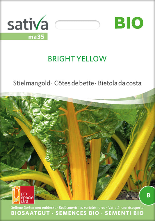 Krautstiel / Stielmangold Bright Yellow | BIO Stielmanggoldsamen von Sativa Rheinau