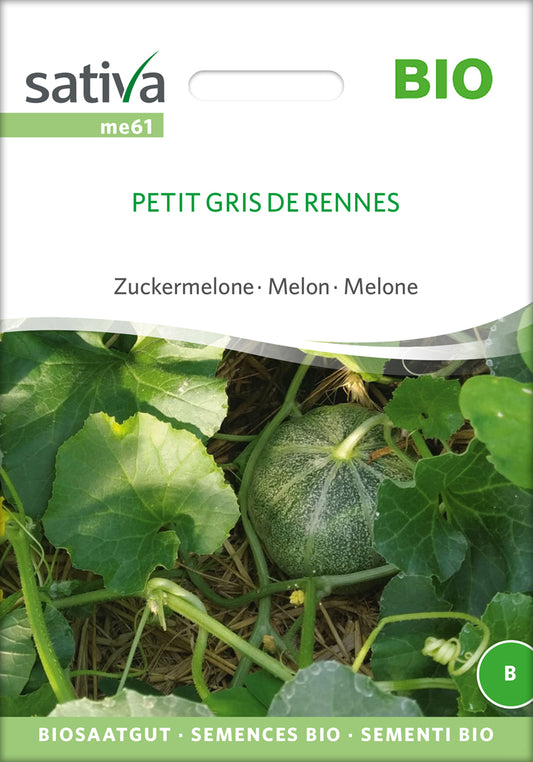 Zuckermelone Petit Gris De Rennes | BIO Zuckermelonensamen von Sativa Rheinau