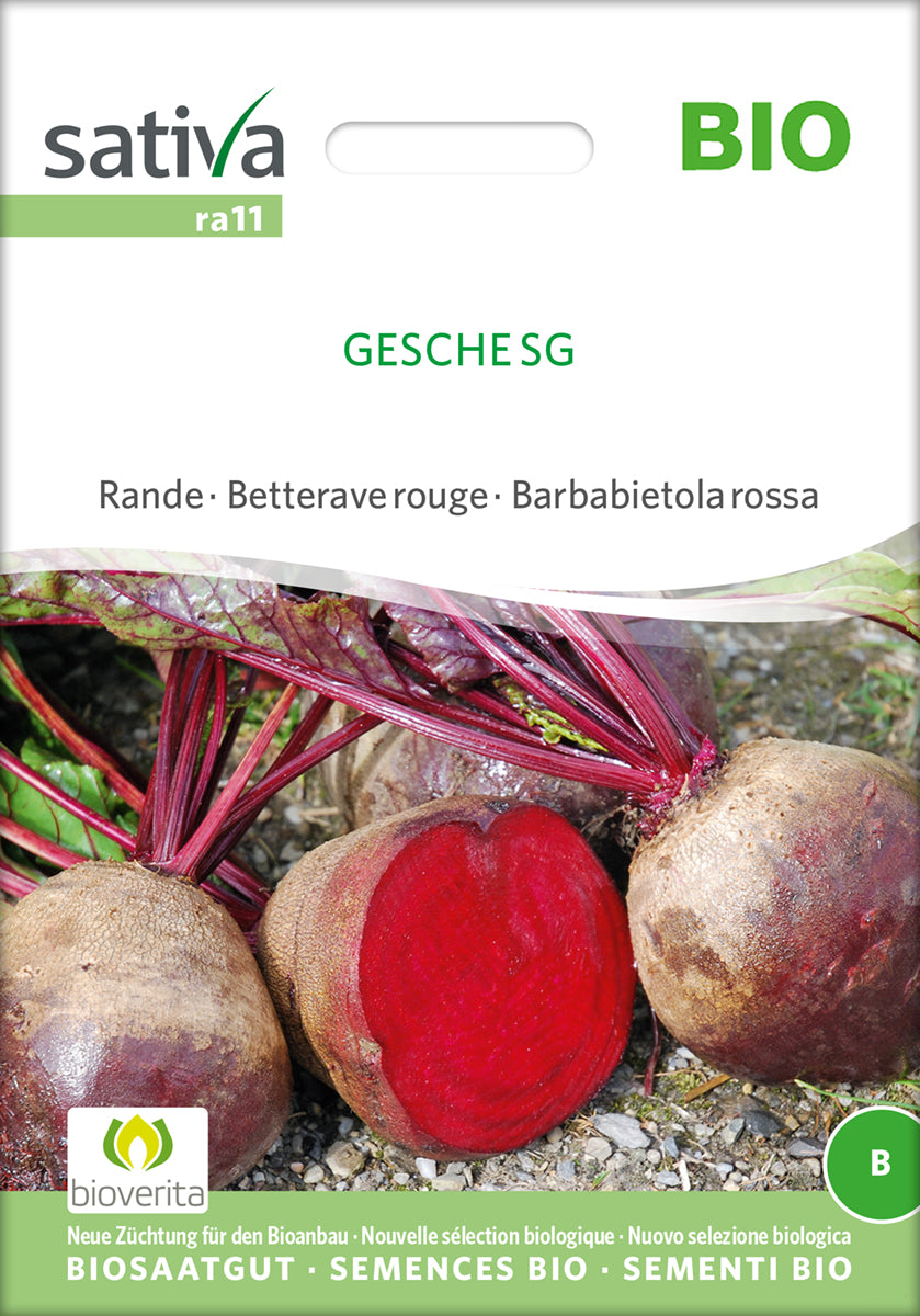 Rote Rübe Gesche Sg | BIO Rote Beetesamen von Sativa Rheinau