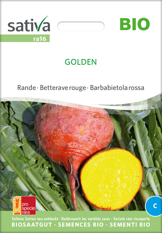 Rote Rübe Golden | BIO Rübensamen von Sativa Rheinau