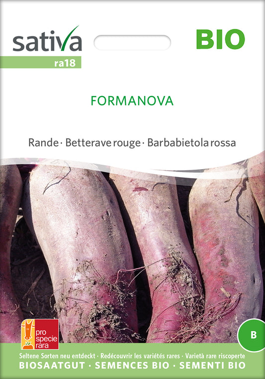 Rote Rübe Formanova | BIO Rübensamen von Sativa Rheinau