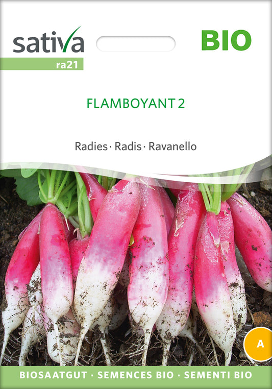 Radies Flamboyant 2 | BIO Radieschensamen von Sativa Rheinau