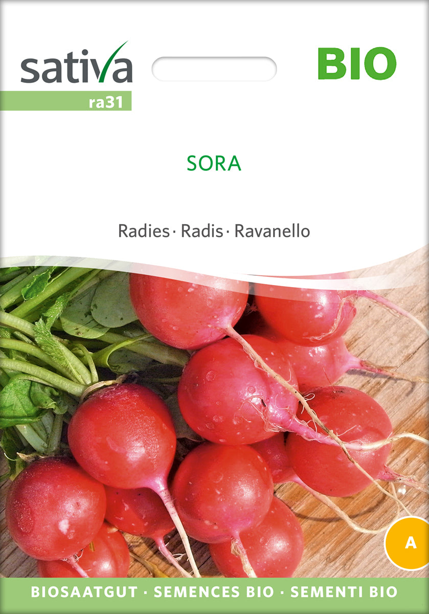 Radies Sora | BIO Radieschensamen von Sativa Rheinau