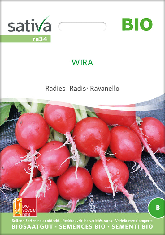 Radies Wira | BIO Radieschensamen von Sativa Rheinau