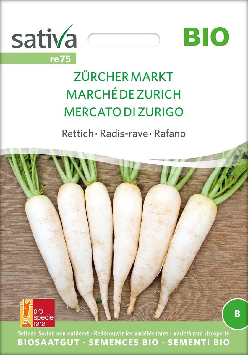 Rettich Zürcher Markt | BIO Rettichsamen von Sativa Rheinau