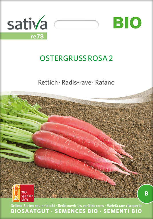 Rettich Ostergruss Rosa 2 | BIO Rettichsamen von Sativa Rheinau