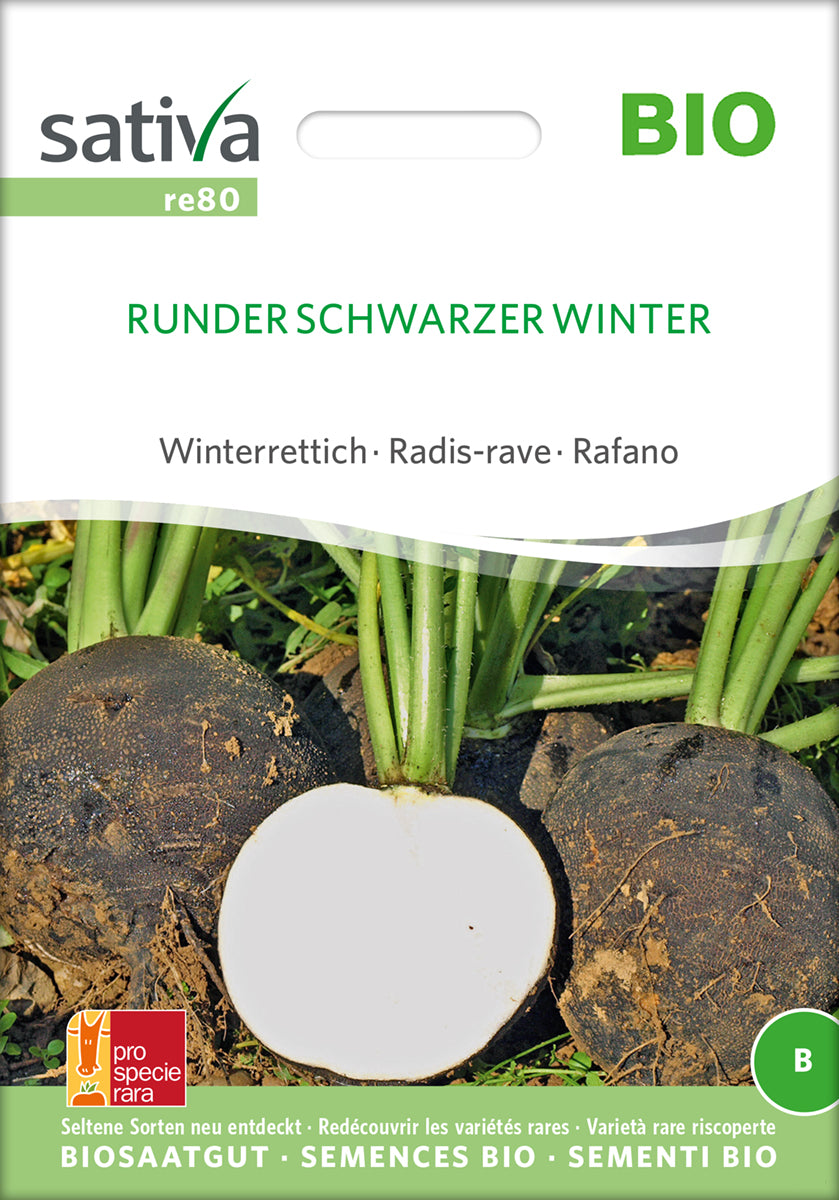 Winterrettich Runder Schwarzer Winter | BIO Rettichsamen von Sativa Rheinau