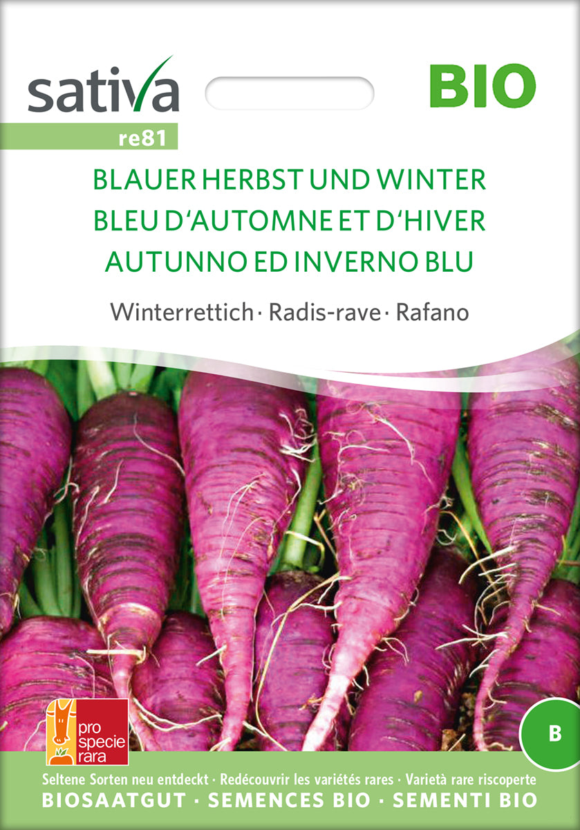 Winterrettich Blauer Herbst Und Winter | BIO Rettichsamen von Sativa Rheinau