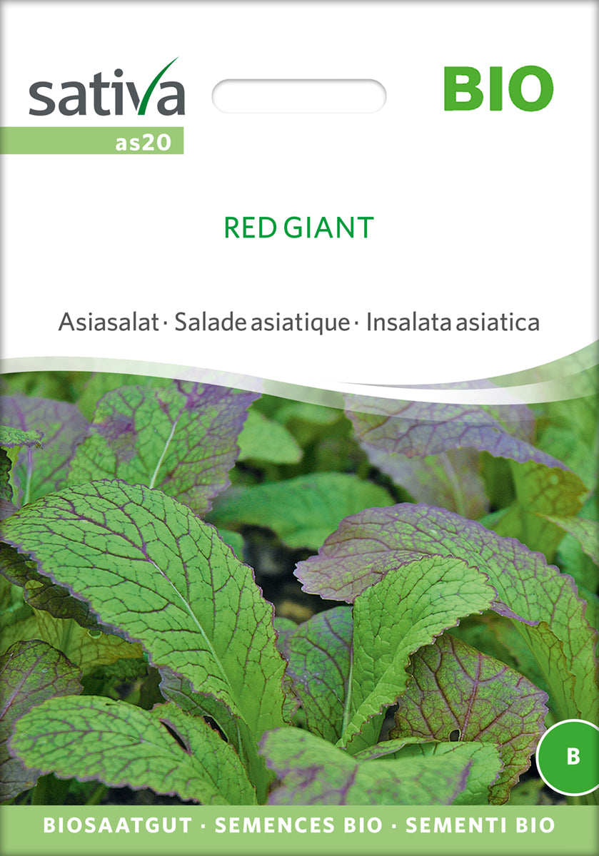 Asiasalat Red Giant | BIO Asiasalatsamen von Sativa Rheinau