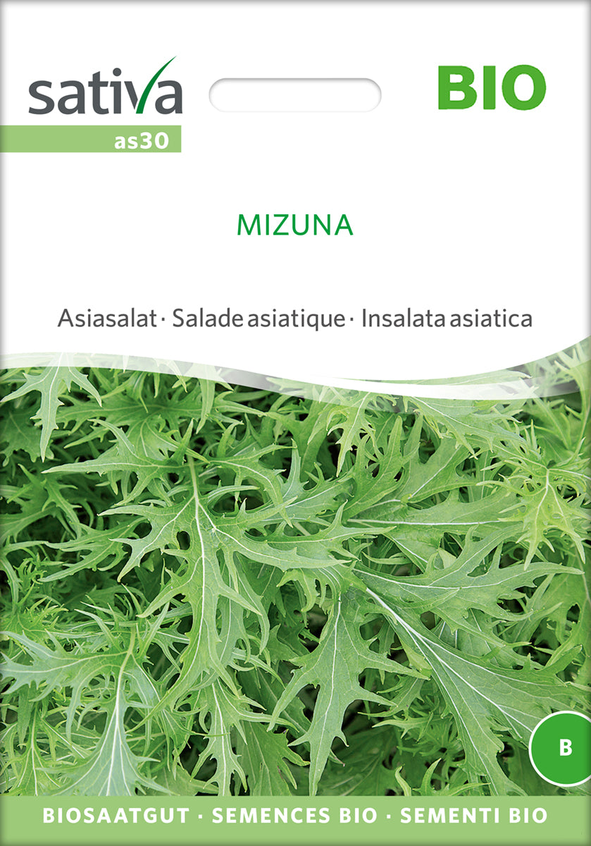 Asiasalat Mizuna | BIO Asiasalatsamen von Sativa Rheinau