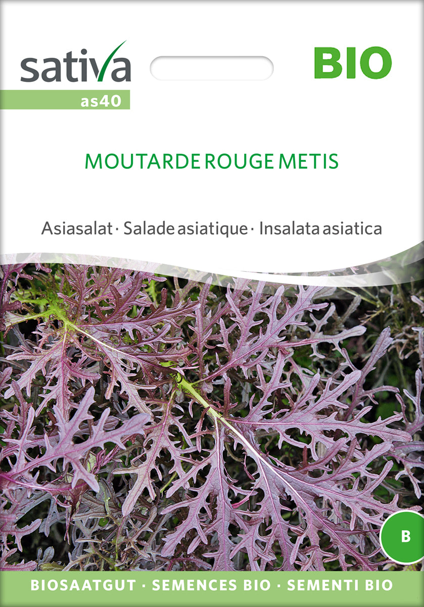 Asiasalat Moutarde Rouge Metis | BIO Asiasalatsamen von Sativa Rheinau
