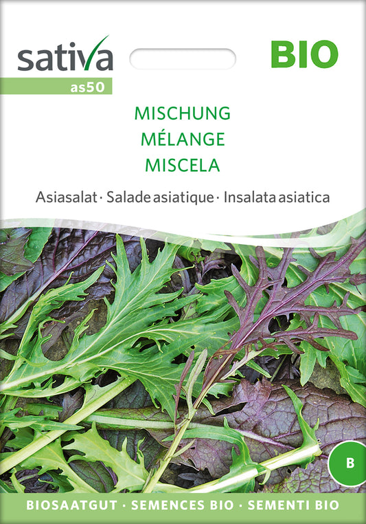 Asiasalat Mischung | BIO Asiasalatsamen von Sativa Rheinau