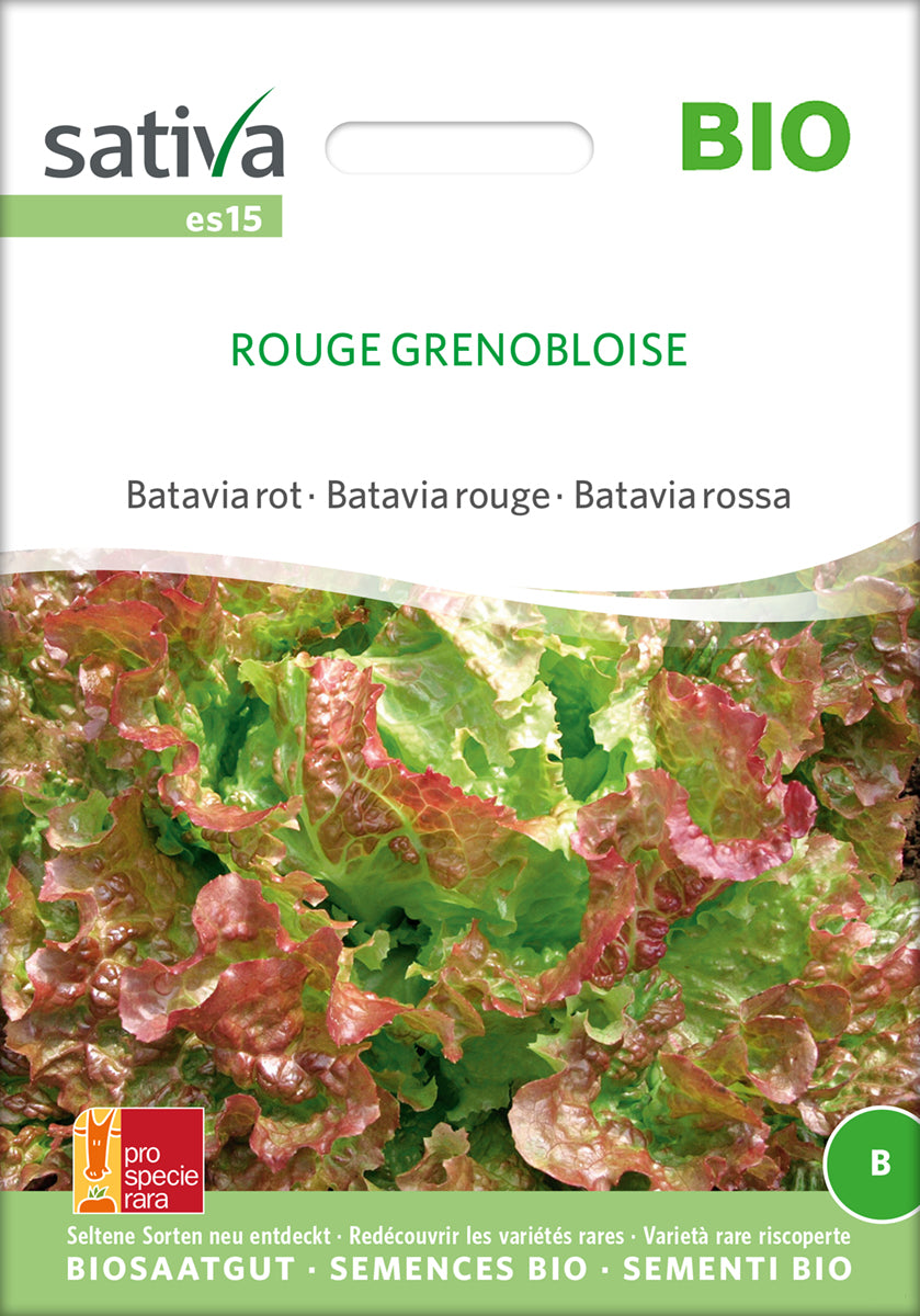 Batavia rot Rouge Grenobloise | BIO Kopfsalatsamen von Sativa Rheinau