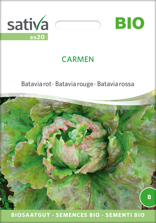 Batavia rot Carmen | BIO Kopfsalatsamen von Sativa Rheinau