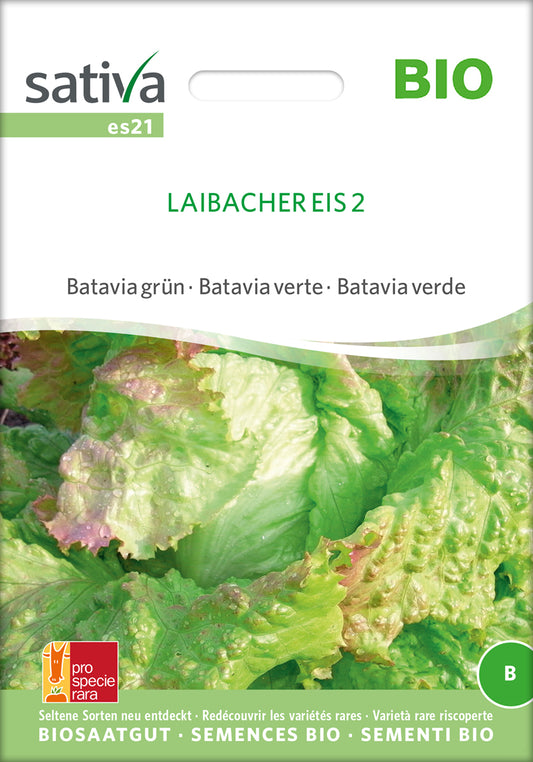 Batavia grün Laibacher Eis 2 | BIO Kopfsalatsamen von Sativa Rheinau
