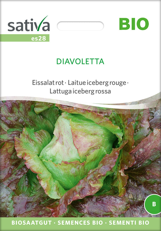 Eissalat rot Diavoletta | BIO Salatsamen von Sativa Rheinau