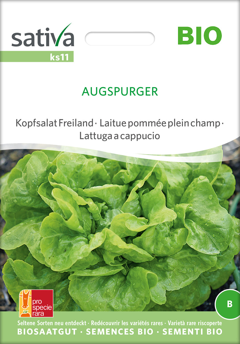 Kopfsalat Freiland Augspurger | BIO Kopfsalatsamen von Sativa Rheinau
