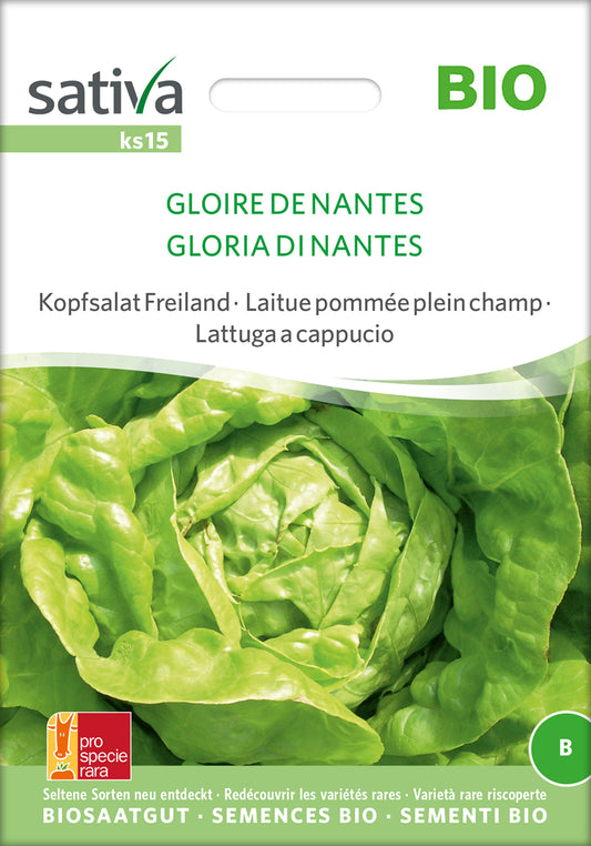 Kopfsalat Freiland Gloire De Nantes | BIO Kopfsalatsamen von Sativa Rheinau [MHD 12/2024]