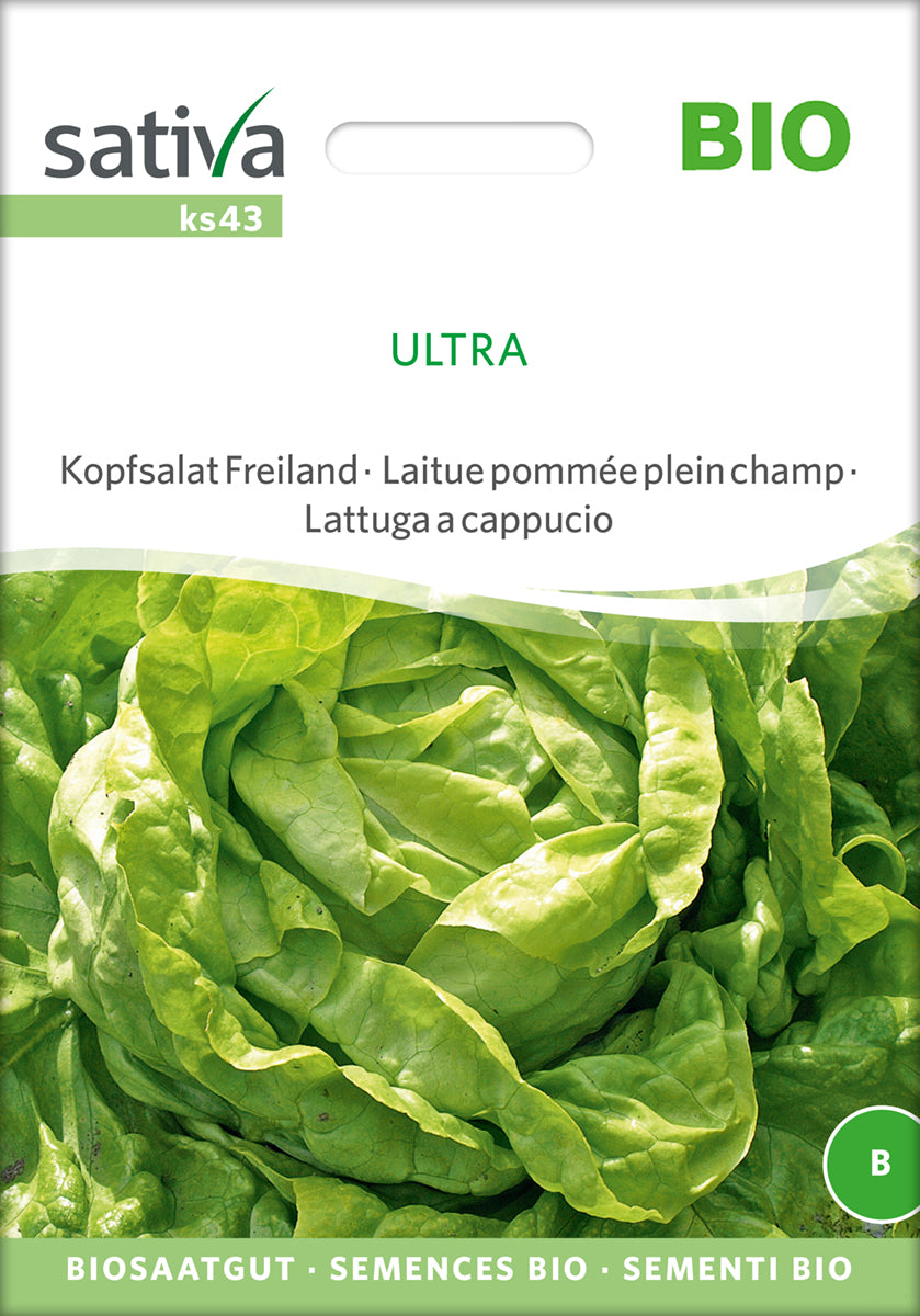 Kopfsalat Freiland Ultra | BIO Kopfsalatsamen von Sativa Rheinau