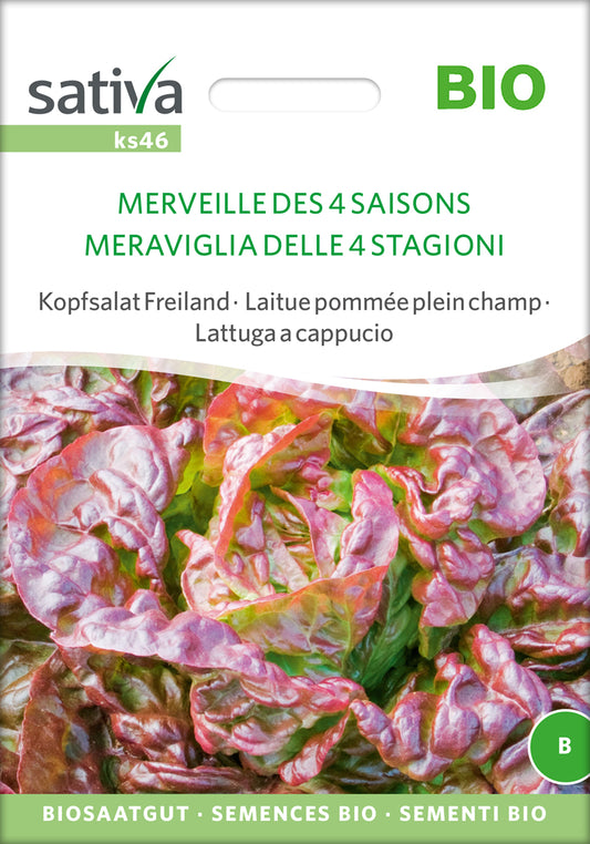 Kopfsalat Freiland Merveille Des 4 Saisons | BIO Kopfsalatsamen von Sativa Rheinau