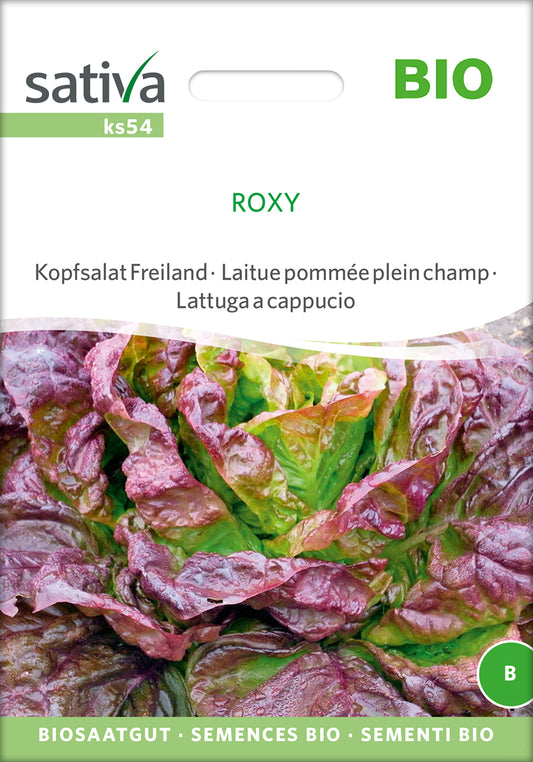 Kopfsalat Freiland Roxy | BIO Salatsamen von Sativa Rheinau