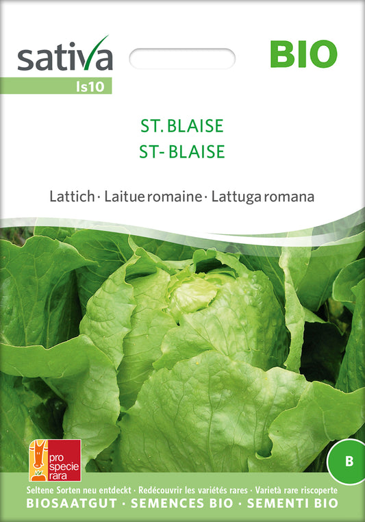 Lattich St. Blaise | BIO Eichblattsalatsamen von Sativa Rheinau