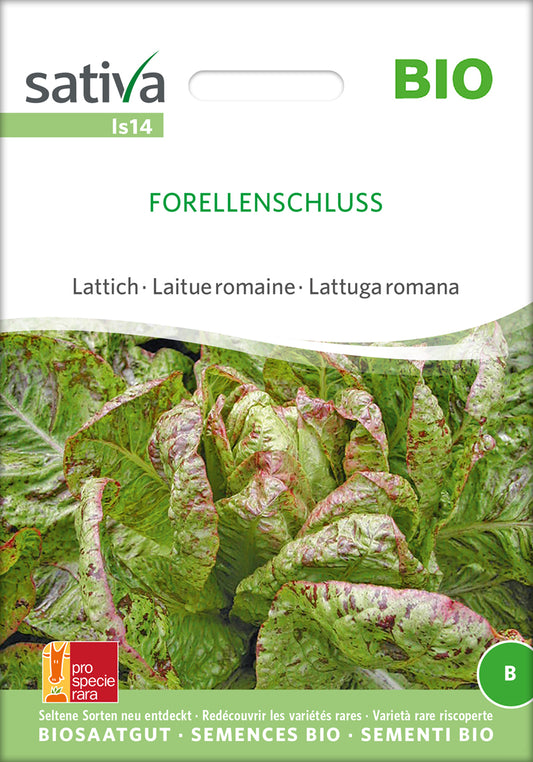 Lattich Forellenschluss | BIO Eichblattsalatsamen von Sativa Rheinau