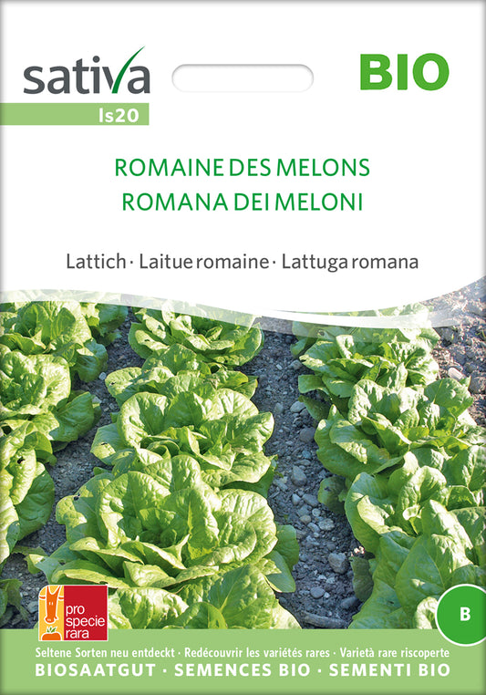 Lattich Romaine Des Melons | BIO Eichblattsalatsamen von Sativa Rheinau