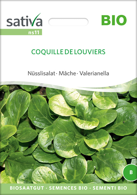 Nüsslisalat Coquille De Louviers | BIO Feldsalatsamen von Sativa Rheinau