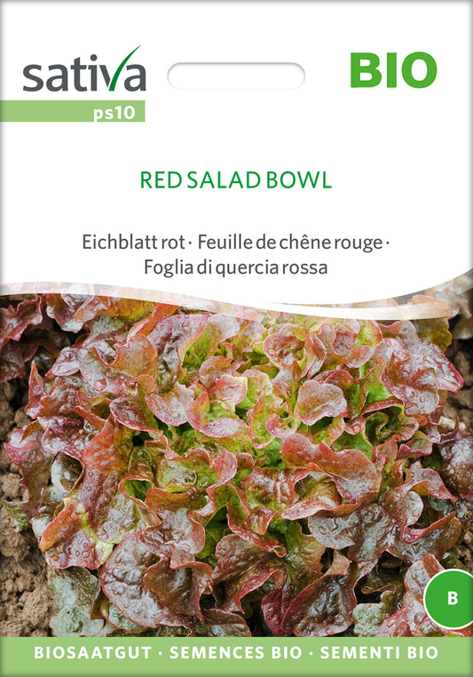 Eichblatt rot Red Salad Bowl | BIO Eichblattsalatsamen von Sativa Rheinau