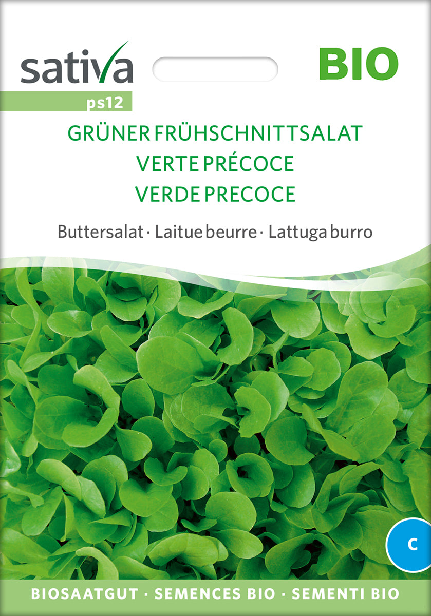 Buttersalat Frühschnittsalat Grüner | BIO Salatsamen von Sativa Rheinau