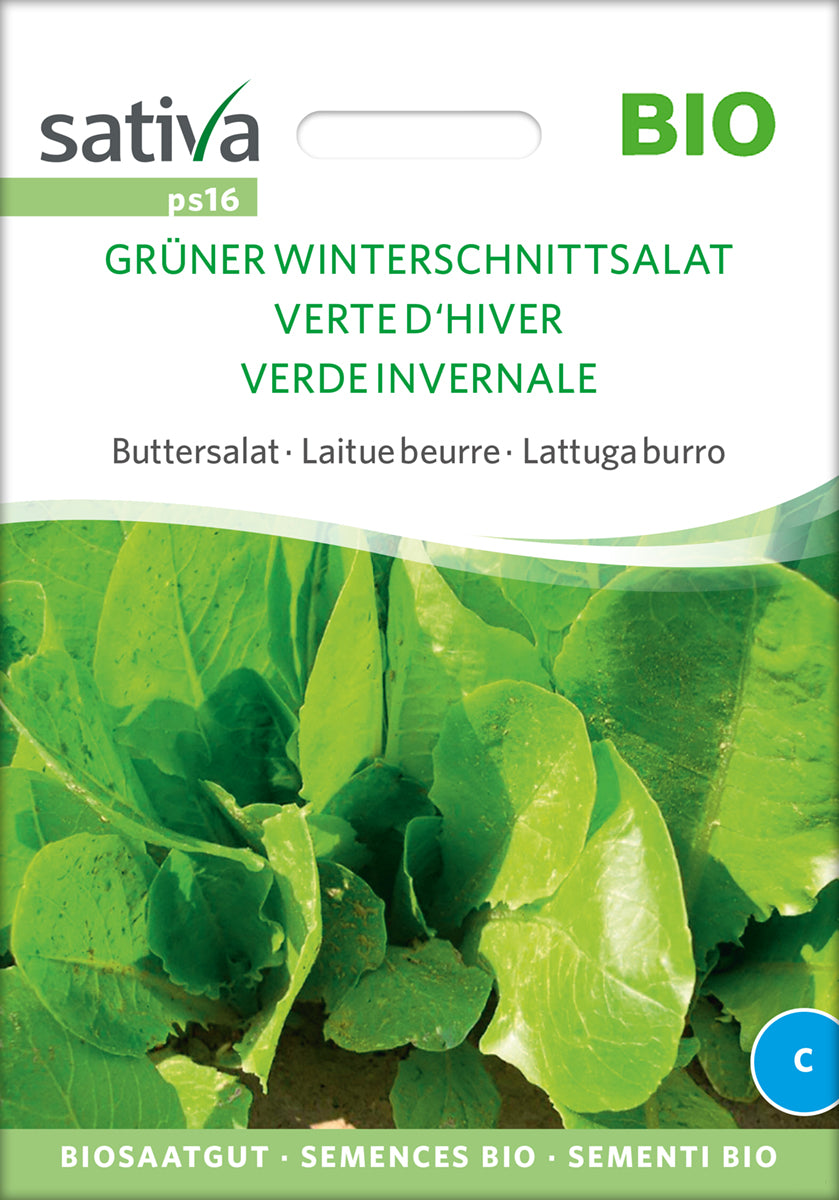 Buttersalat Winterschnittsalat Grüner | BIO Salatsamen von Sativa Rheinau