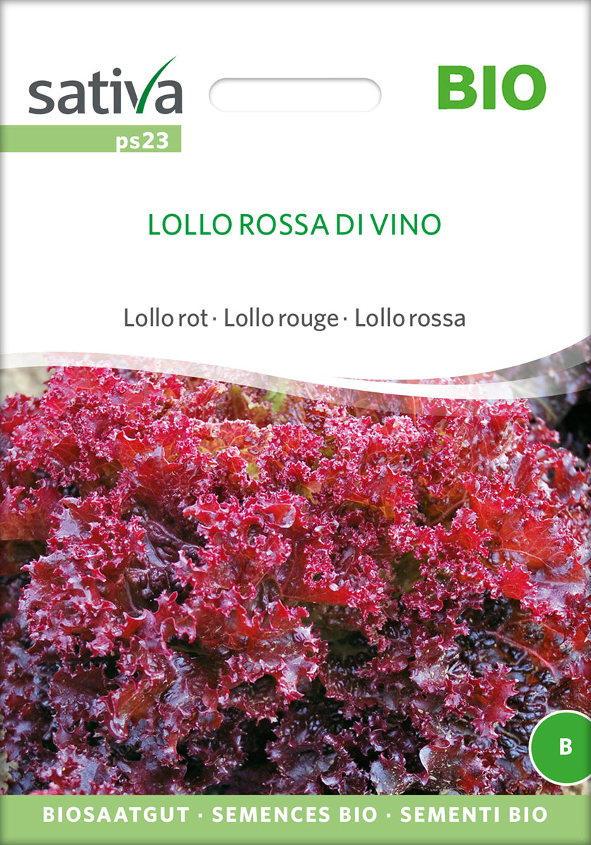 Lollo rot Lollo Rossa | BIO Pflücksalatsamen von Sativa Rheinau