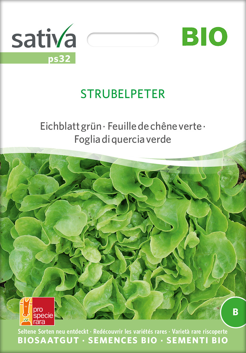 Eichblatt grün Strubelpeter | BIO Eichblattsalatsamen von Sativa Rheinau