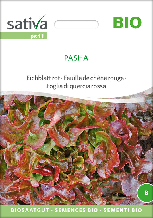 Eichblatt rot Pasha | BIO Eichblattsalatsamen von Sativa Rheinau