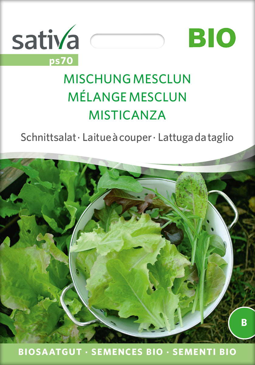 Schnittsalat Mischung Mesclun | BIO Salatsamen von Sativa Rheinau