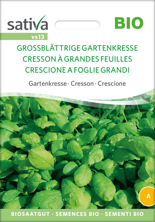 Gartenkresse Grossblättrige Gartenkresse | BIO Kressesamen von Sativa Rheinau